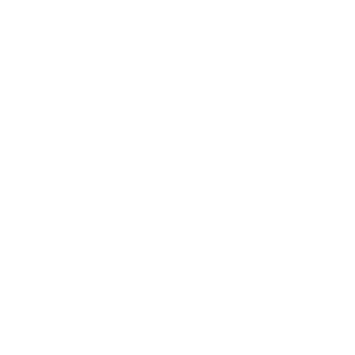 Bistrița Incluzivă 2028